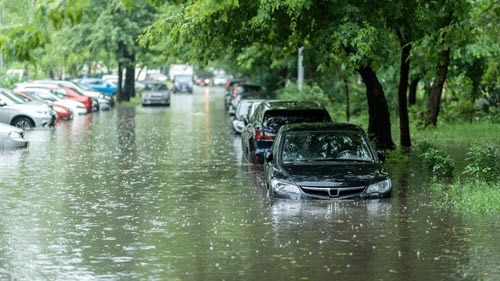 Insure Your Car Against Natural Disasters with Special Perils Coverage
